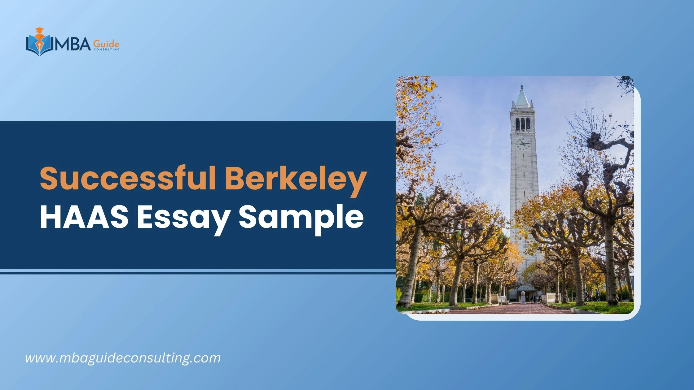 Successful Berkeley HAAS Sample Essay